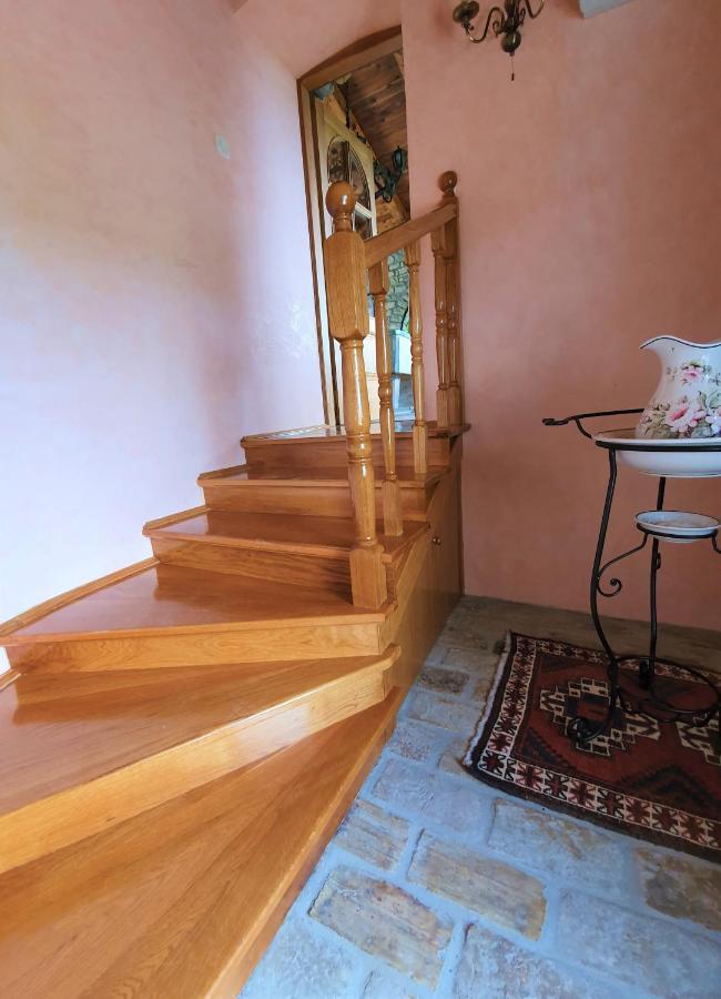 Casa Prodan Διαμέρισμα Buzet Εξωτερικό φωτογραφία
